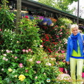 Plants for sale at the Marché aux fleurs
